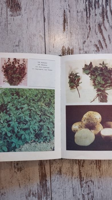 Книга,,800 практических советов огородніку -любителю,,