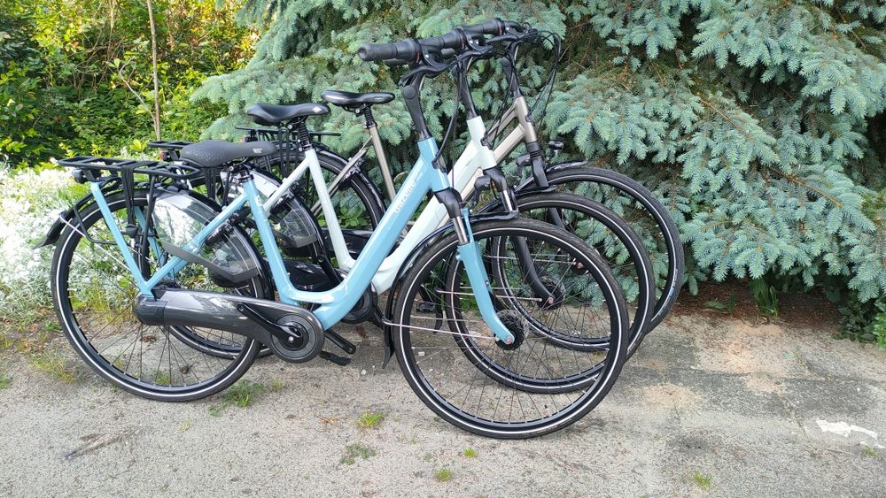 Gazelle  Like batavus koga sparta cube