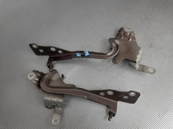 Dobradiça capot RENAULT Scénic III (JZ0/1_)