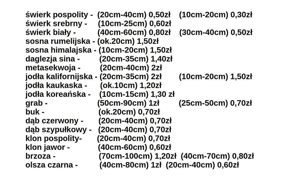 Sosna himalajska rumelijska sadzonki PASZPORT