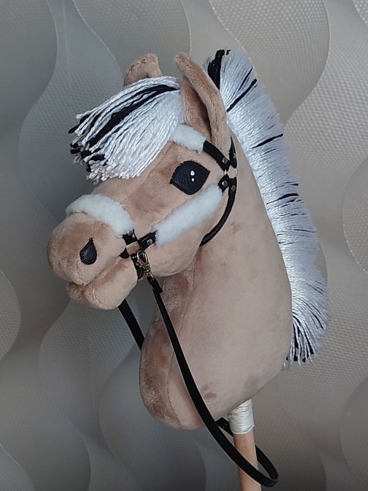 Hobby horse konik