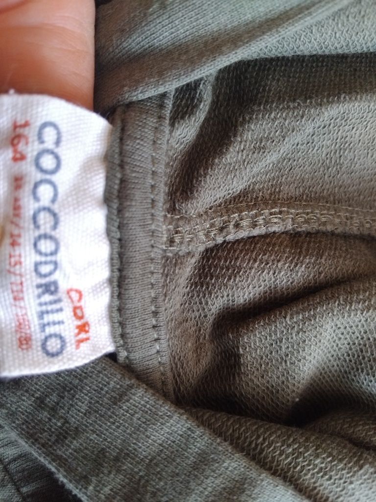 Coccodrillo nowa bluza dresowa r. 164