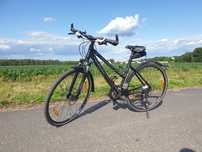 Rower damski Carver Sonic 120 nie trek ktm canyon