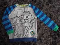 Bluza smyk Scooby doo