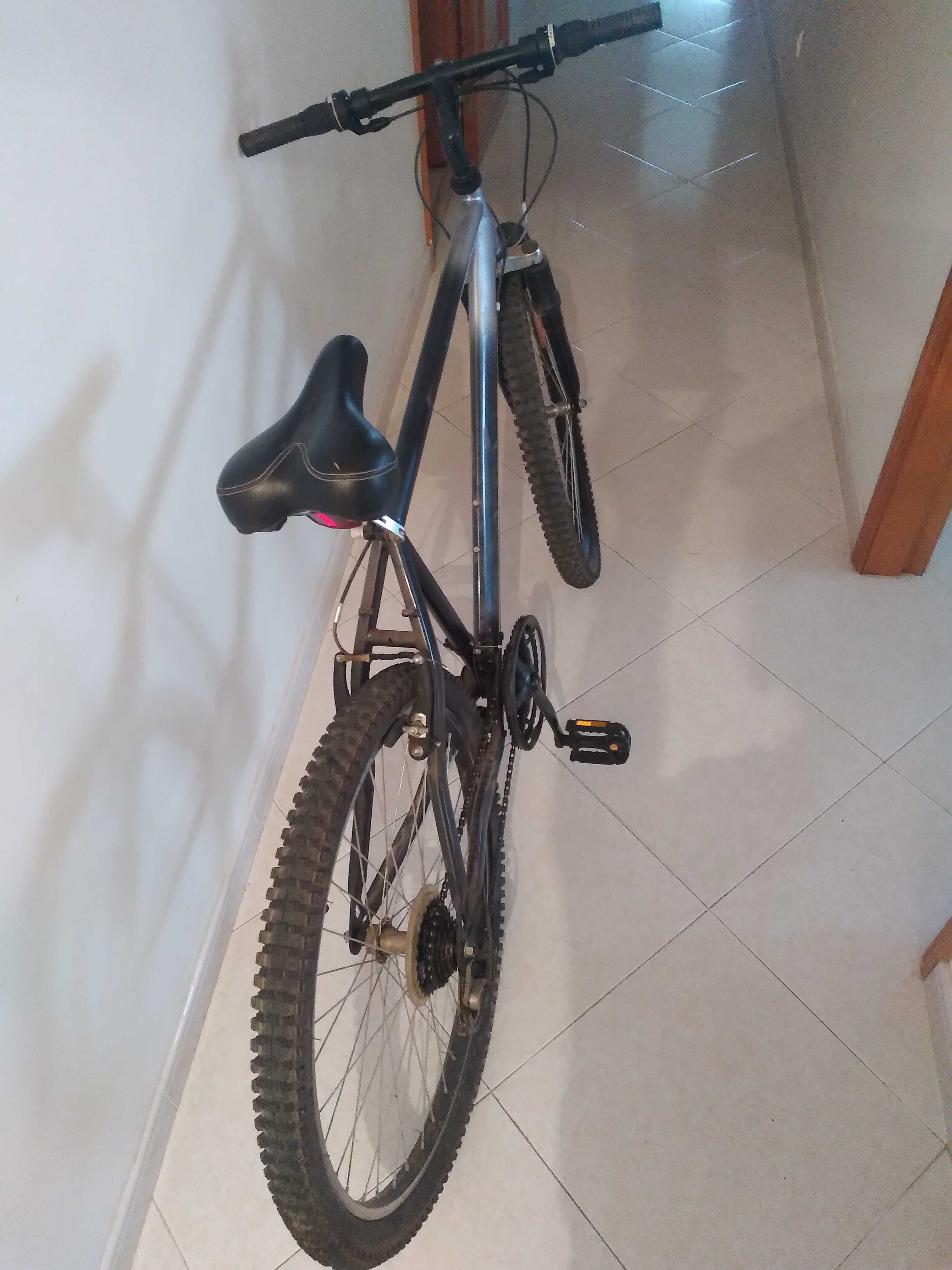 Bicicleta bicicleta