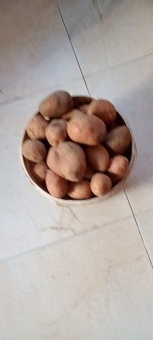 Домашня картопля