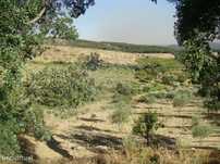 Terreno  para venda