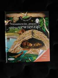 Niesamowite prace zdolnych zwierząt 3D