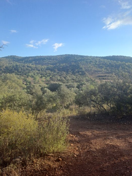 Terreno rustico com bonita vista