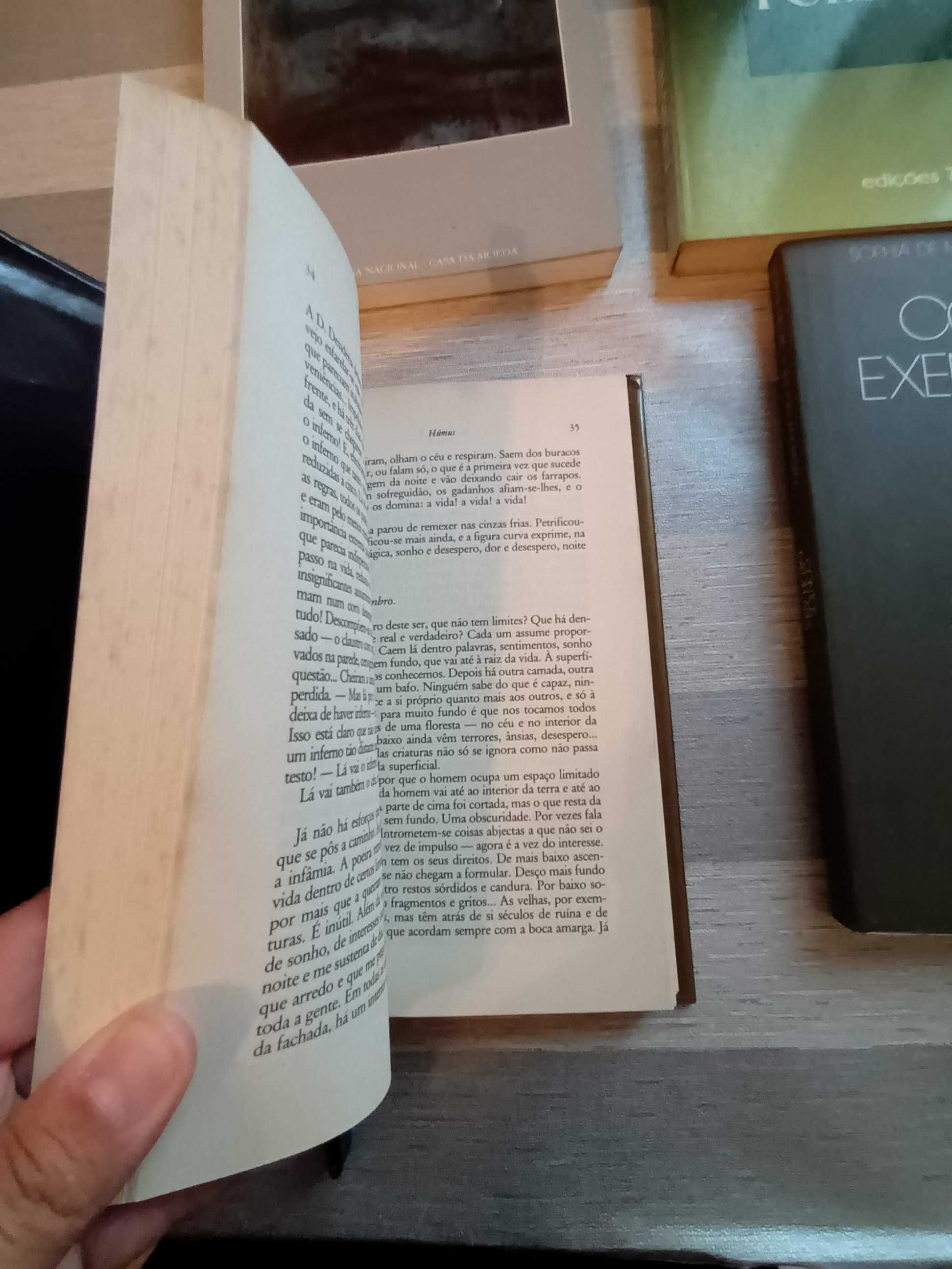 Livros autores portugueses