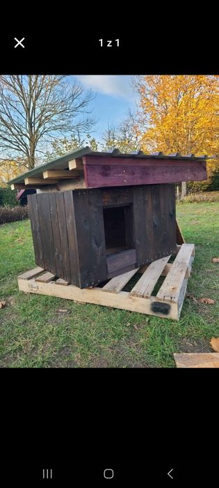 Oddam budy ocieplane dla psów z Gminy Raczki