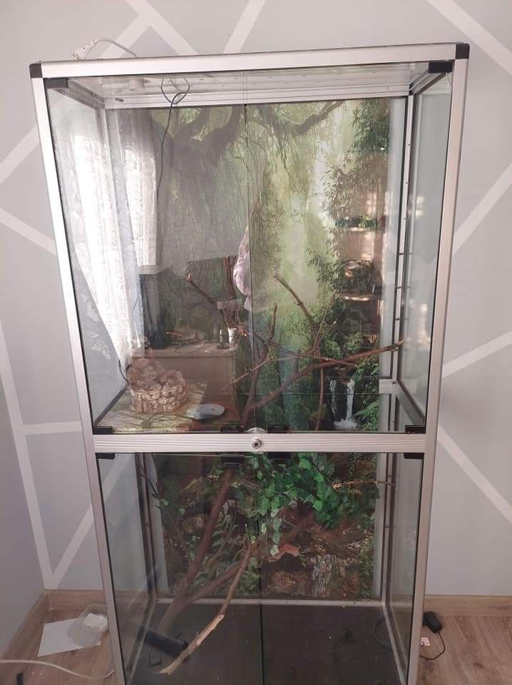 Terrarium dla jaszczurki