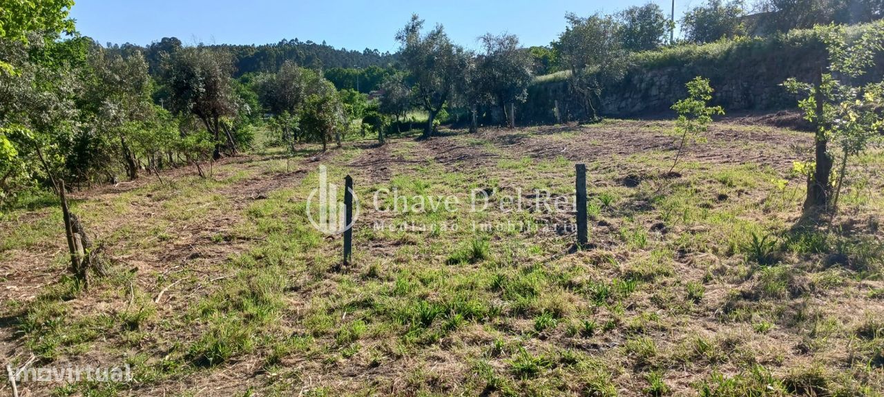 Quintinha  Venda em São Miguel do Mato,Vouzela