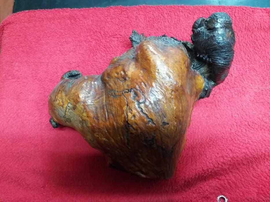 Pedaço de arvore de Angola (Cajueiro)