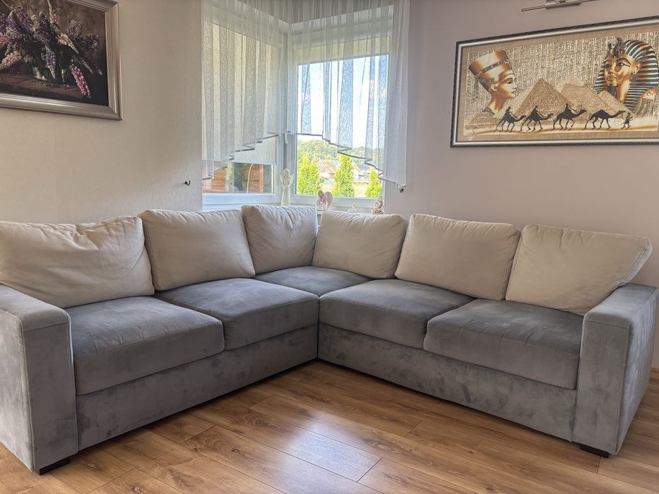Rogówka do salonu