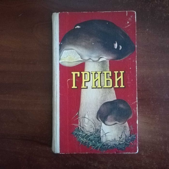 Зерова М. Гриби (їстівні, умовно їстівні, неїстівні, отруйні)