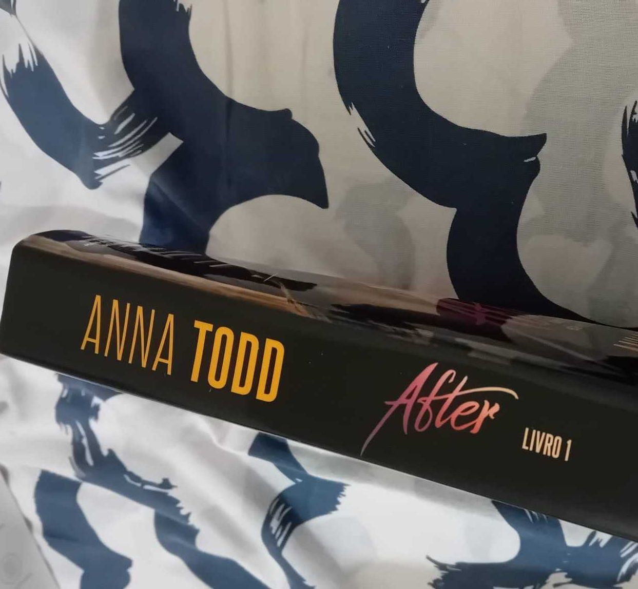 Livro After 1 - Depois de o Conhecer - Anna Todd