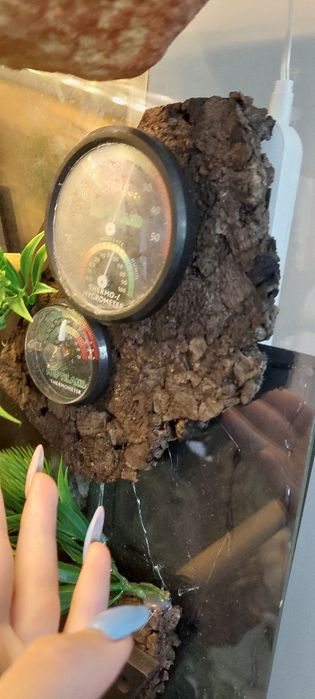 Terrarium pionowe wąż gekon jaszczurka 40x40x80