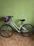 Rower Damski Giant Cypress SE