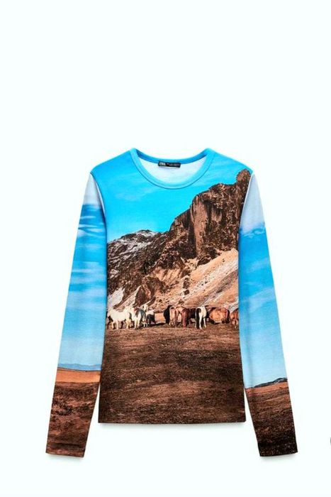 Реглан лонглислив Zara р. M - L с принтом, Зара.