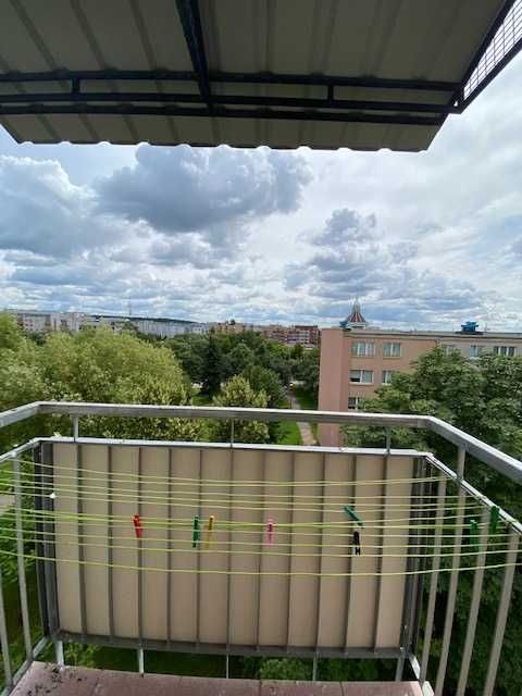 Mieszkanie 3 pokojowe w doskonałej lokalizacji uczniom lub studentom