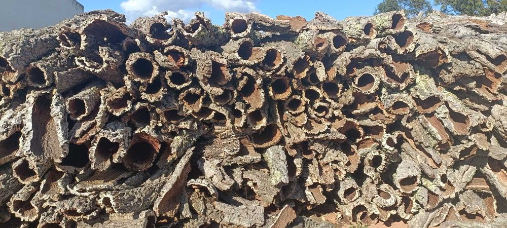 Tubos de cortiça virgem, cortiça virgem e ramos de sobreiro.
