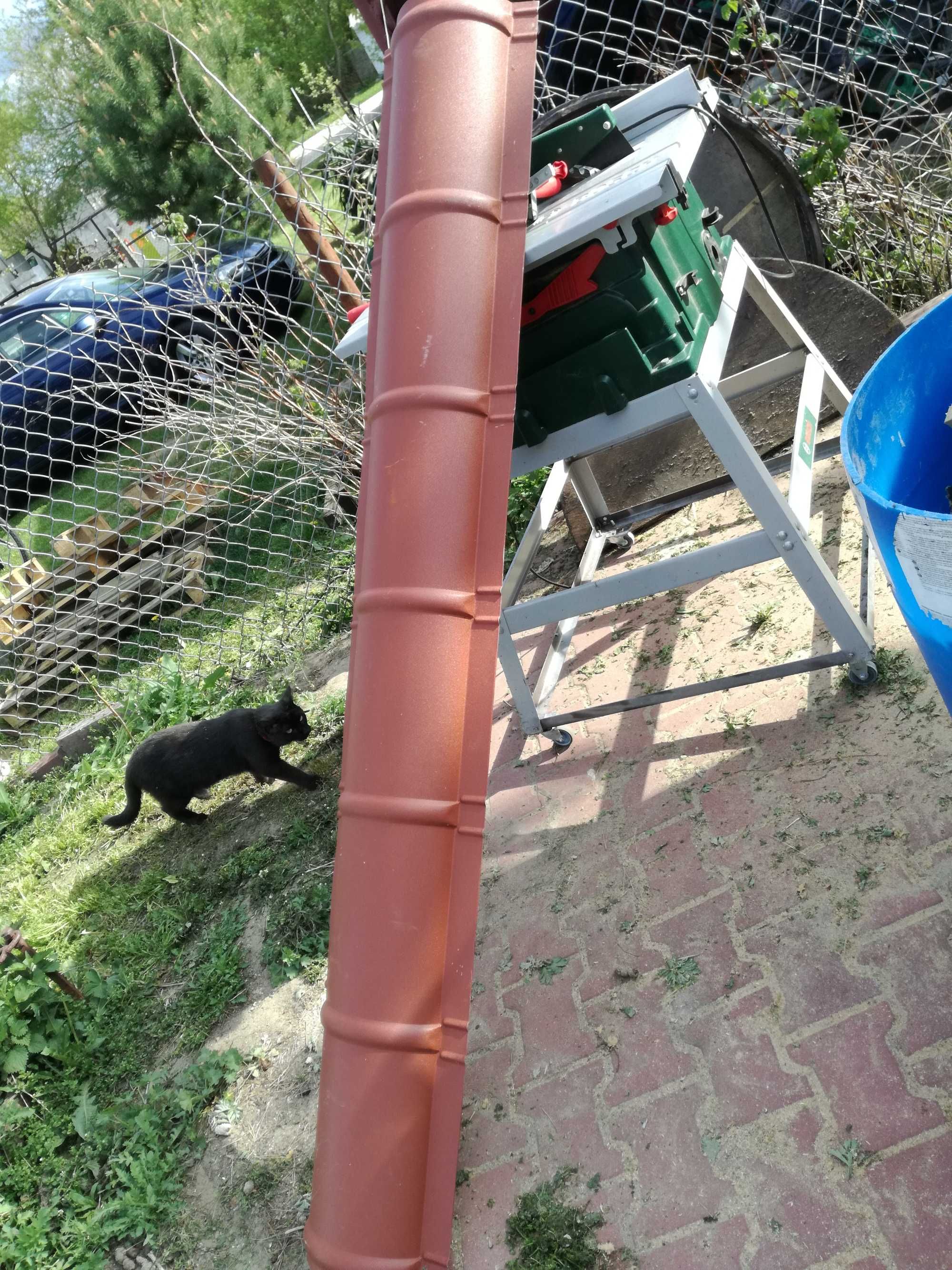 Gąsior brązowy do dachu