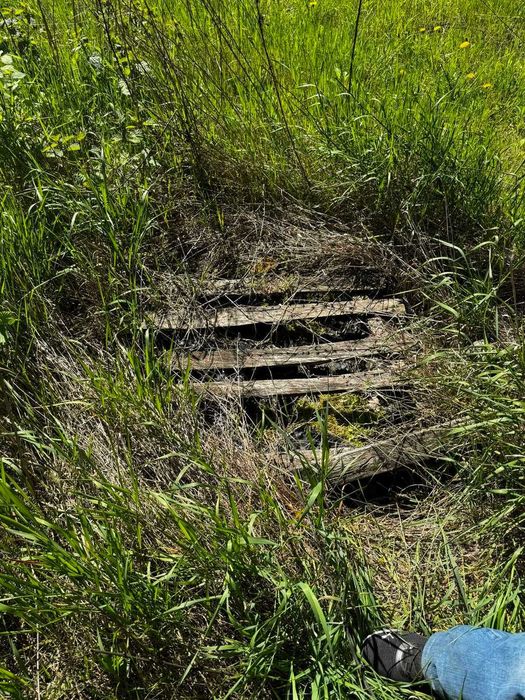 Приміщення пілорами з обладнанням 50 сот.землі.