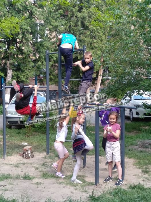Вулична воркаут площадка турнік рукохід / шведська стінка бруся груша