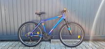 Rower górski ESPERIA DESERT X-FACT 27.5", M19"