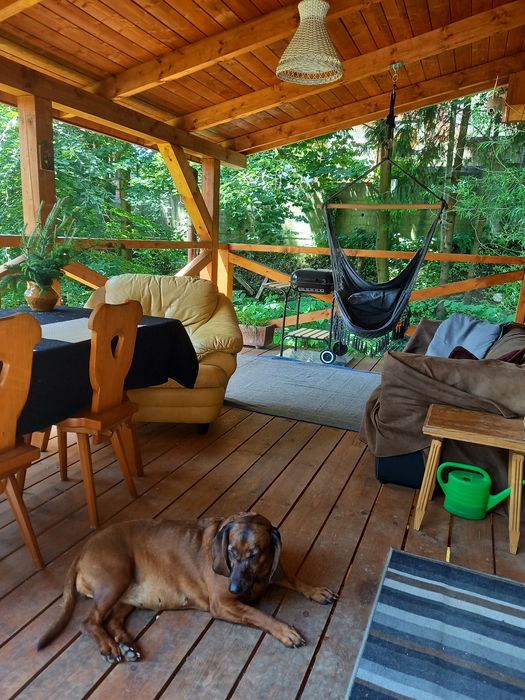 Dom z bala w Lubomierzu,całoroczny,prywatnie bez prowizji 50tyś