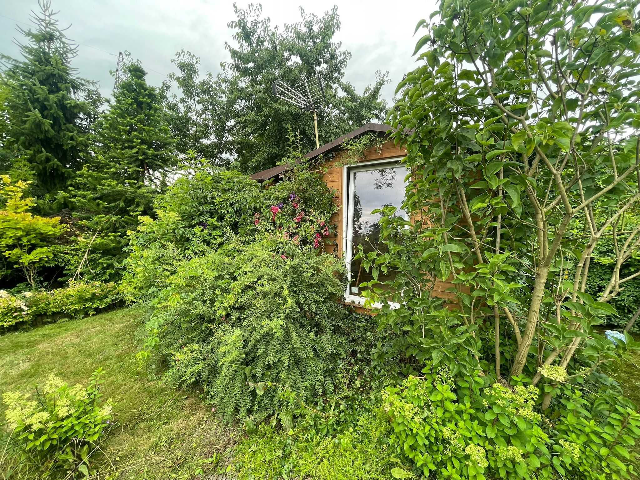 Działka ROD Wadowice Graniczna