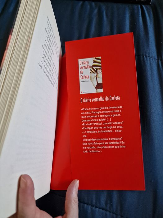 O Diário Vermelho de Flanagan de Andreu Martín e Jaume Ribera
