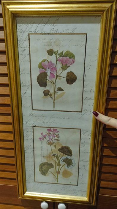 Obraz botanika w złotej ramie