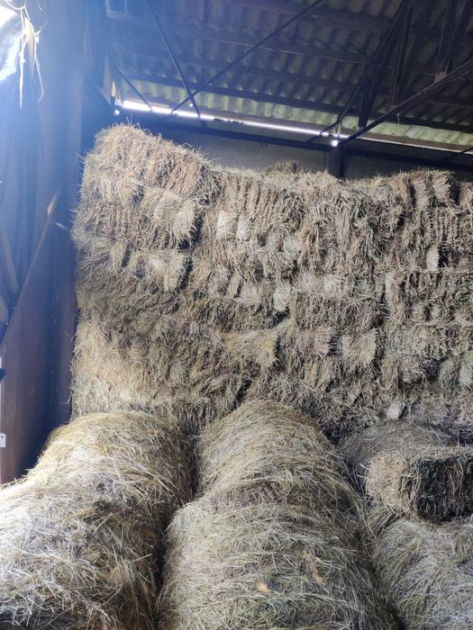 Сіно солома тюки