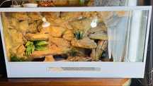 Terrarium dla agamy 120x60x50