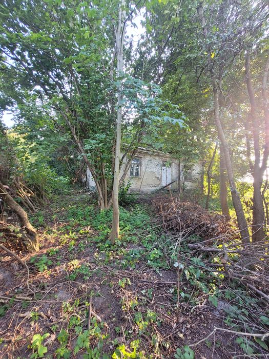 Działka budowlana Rogóźno, Wyzwolenia