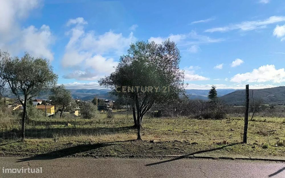 Terreno Rústico em Bragança - Oportunidade Única por 80.000€