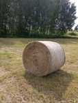 Sprzedam siano suche