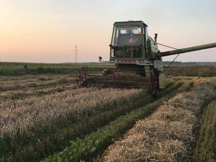 Kombajn CLAAS Senator mega ORYGINAŁ