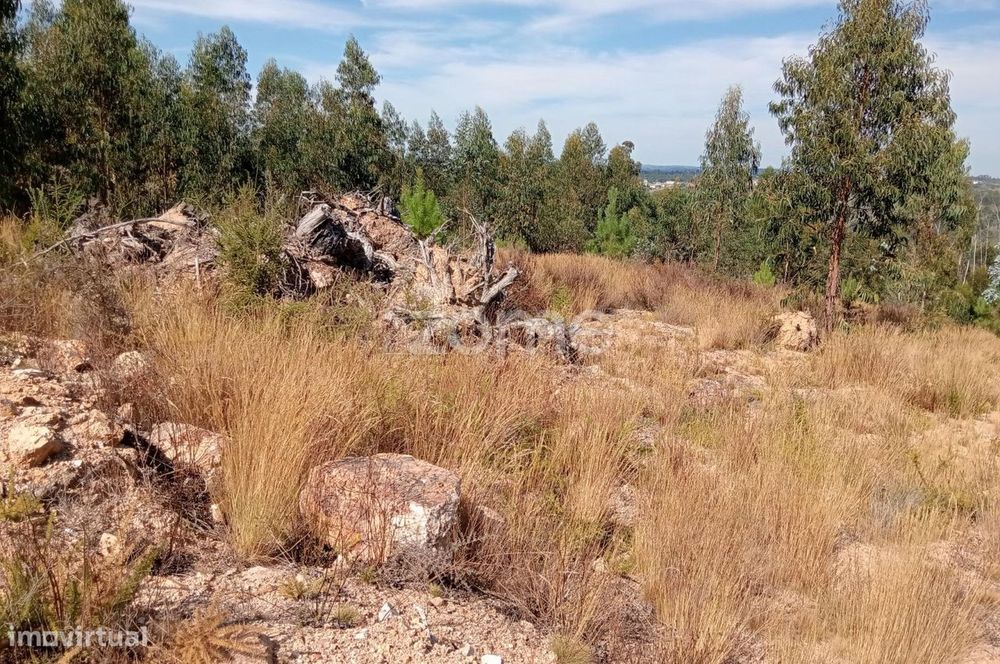Terreno em Tonda com 2250 m2