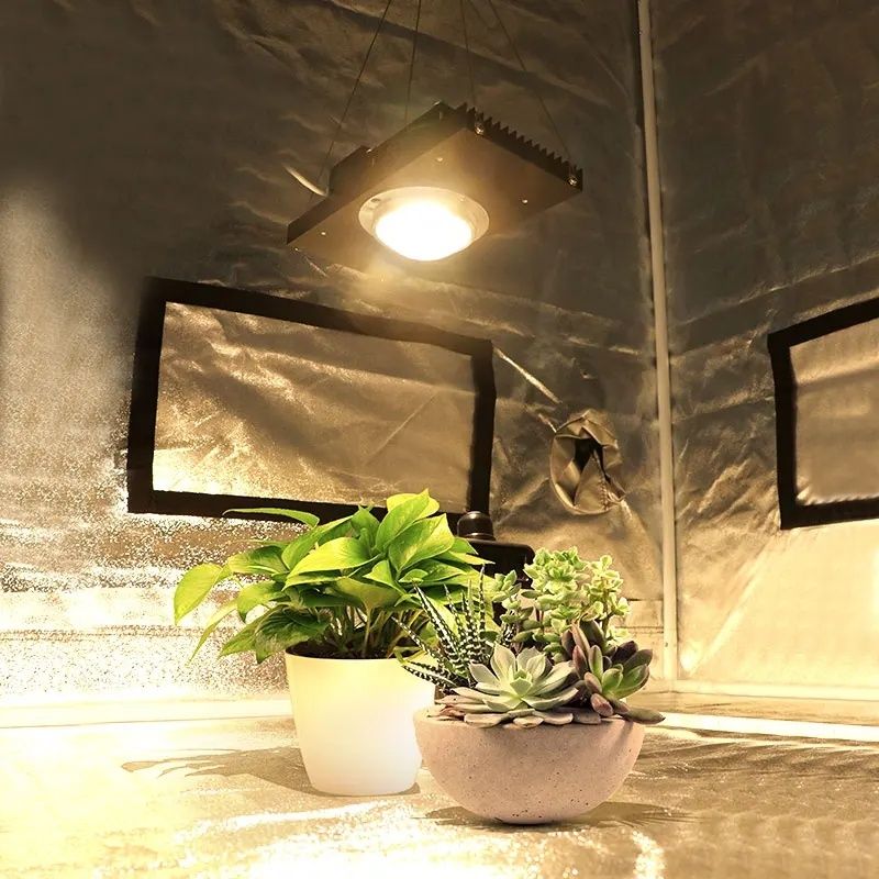 CREE CXB3590 COB 100W з підвісами. Фітолампа для рослин.