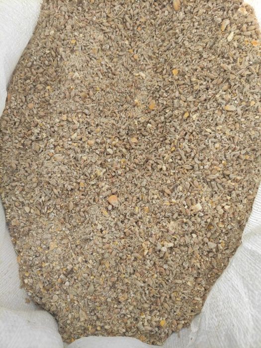 Pasza dla kur niosek gęsi kaczek 25 kg