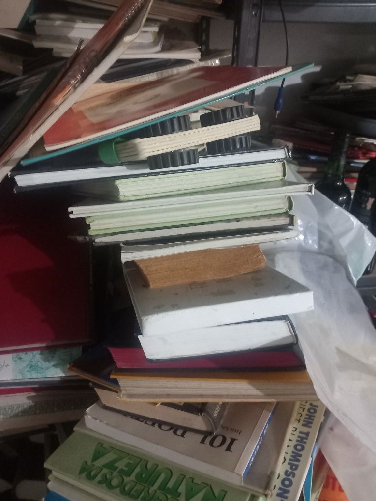 Lote de livros  2.000