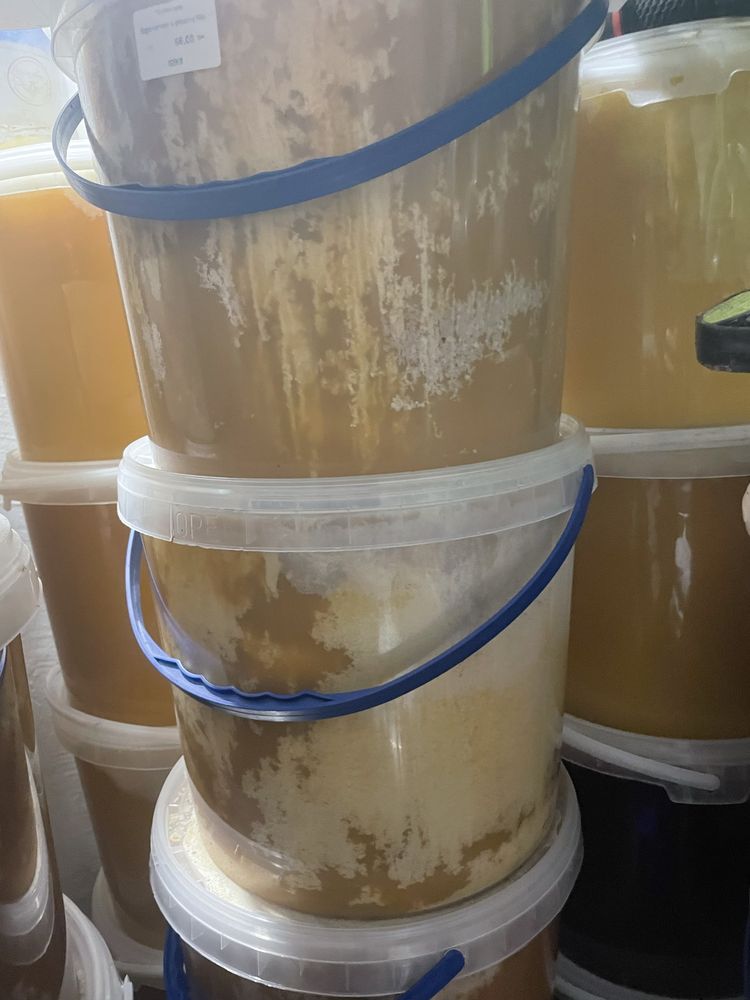 Продам лісовий і гречаний мед і в сотах, пилок