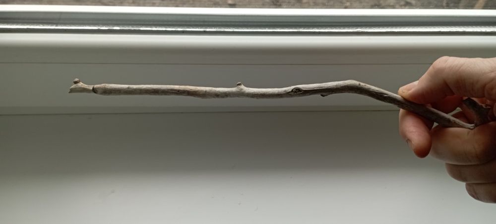 Волшебная палочка