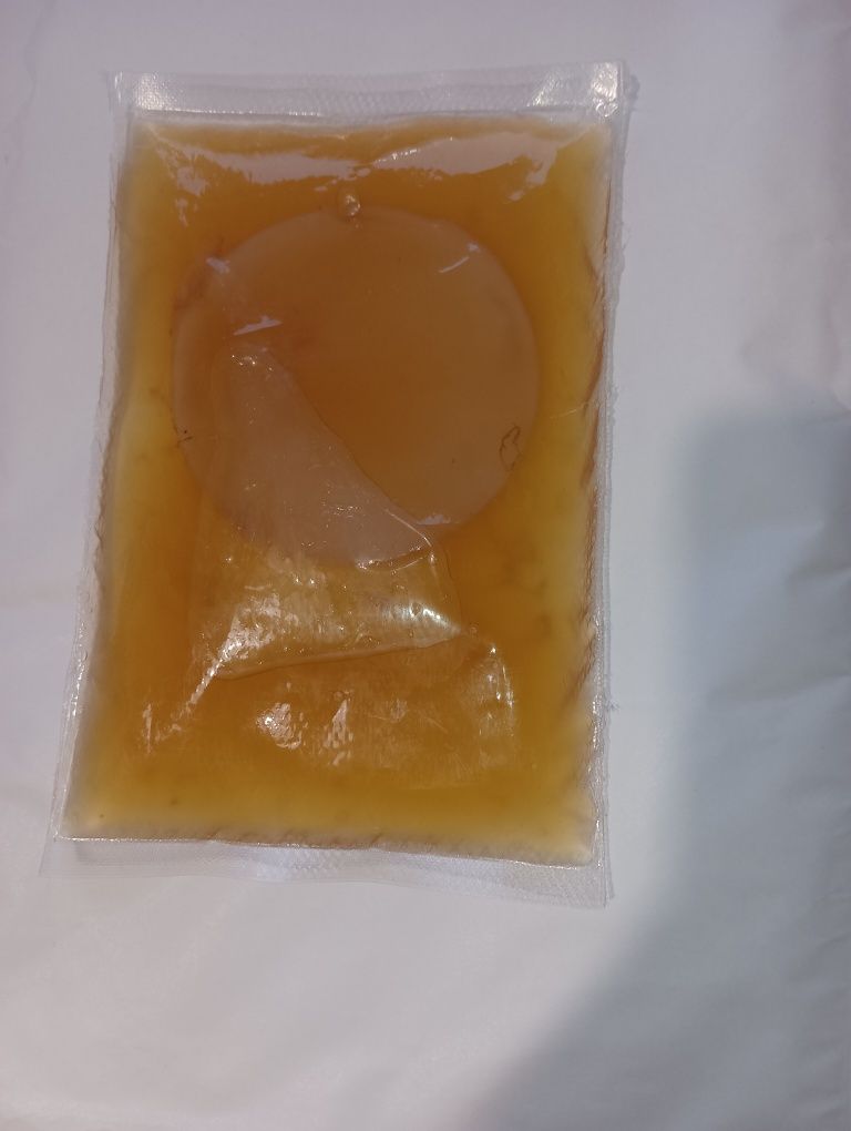 Kombucha starter grzyb herbaciany scoby