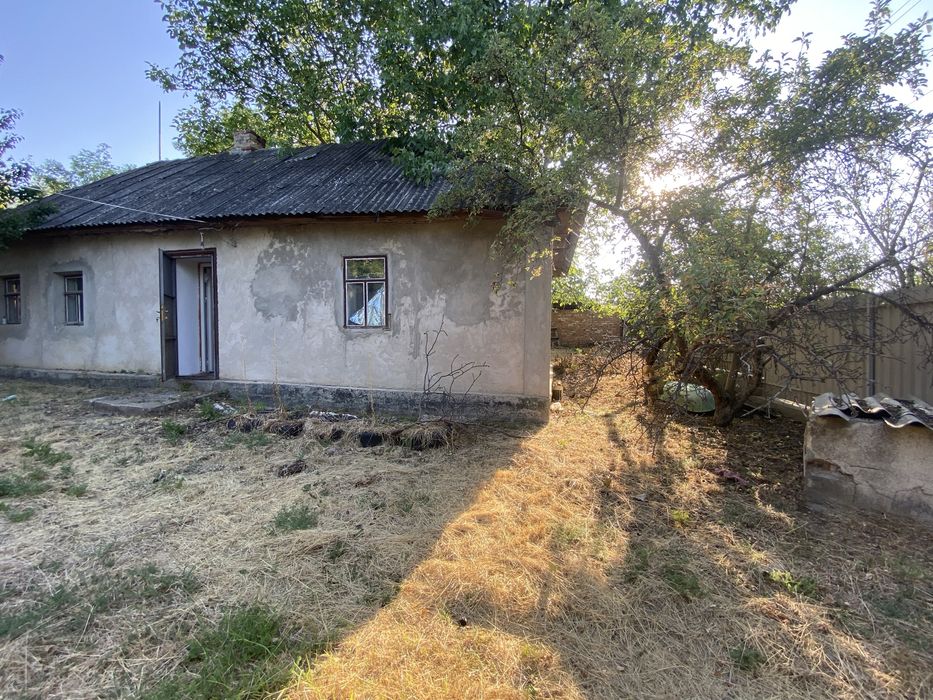 Будинок в Грушівці з великою ділянкою