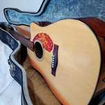 Guitarra Fender - Ótimo Estado de conservação