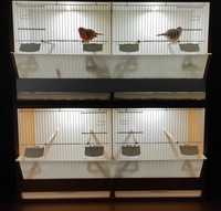 Regał hodowlany 4 komorowy na ptaki, podświetlenie LED
